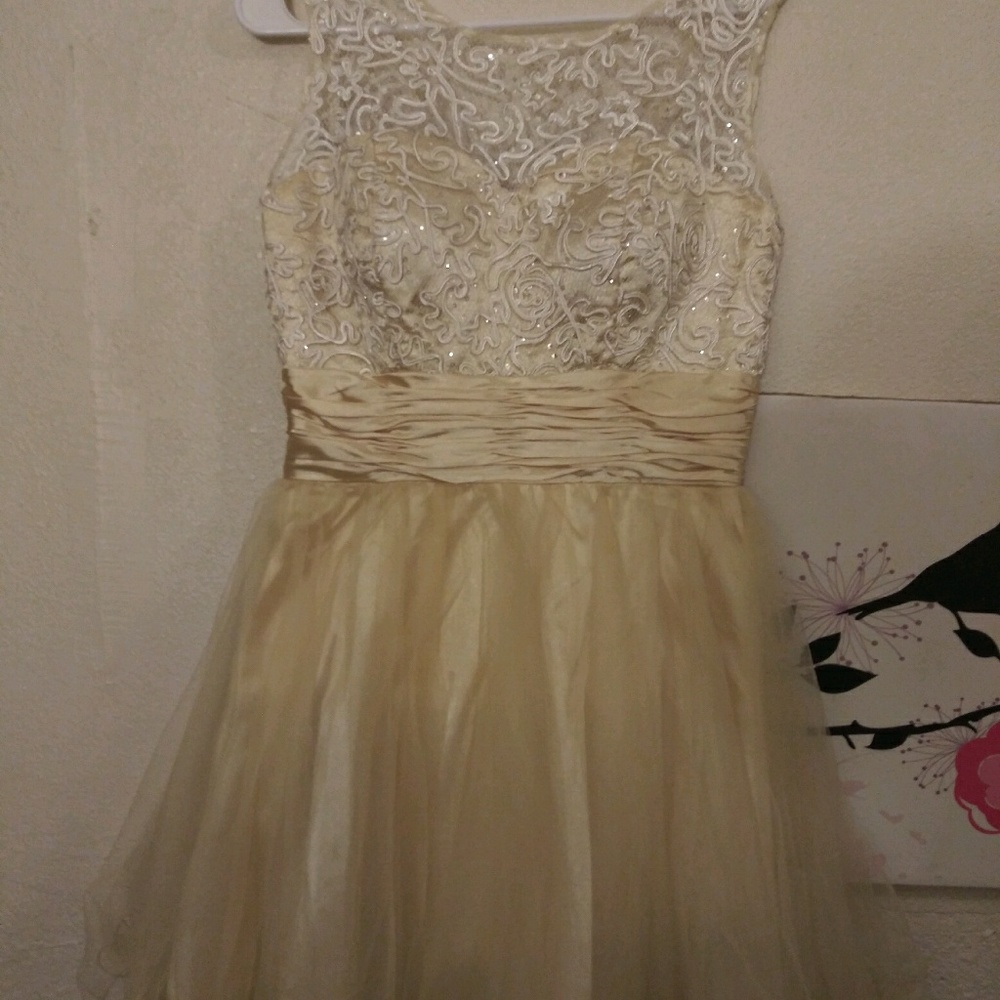 Fun skirt summer formal short used once